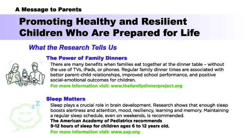 Promoting Healthy and Resilient Children mailer
